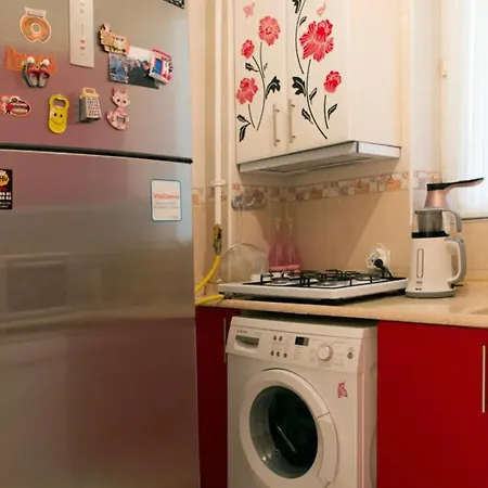 民宿 Muhterem Hanim Konagi